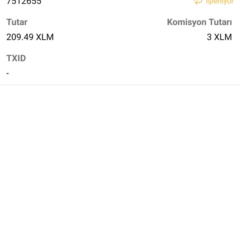 Bitci Borsasında XLM Transferi Mağduriyeti