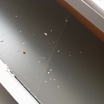 Kırık Ürün Ve İlgisiz Müşteri Hizmetleri Sorunu