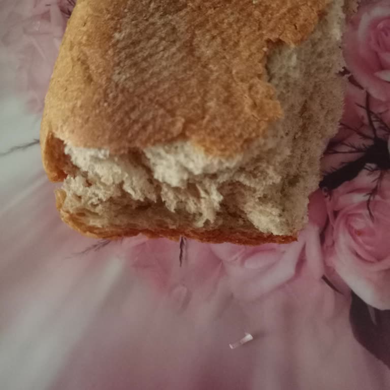 Ekmekte Hijyen Sorunu