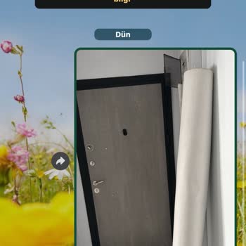 Halı Yıkama Kabusu: Gecikme Ve Hasarlı Teslimat