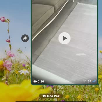 Halı Yıkama Kabusu: Gecikme Ve Hasarlı Teslimat