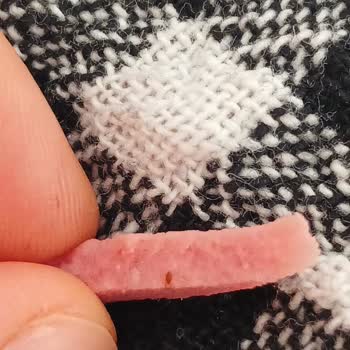 Büyük Marketten Aldığımız Salamdan Böcek Çıktı