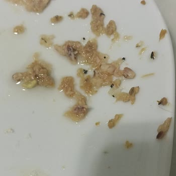 Superton Superfresh 24'lü Konserve Ton Balığında Sorun