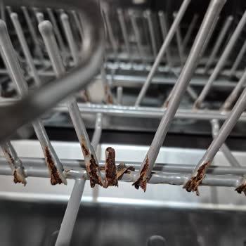 Samsung Bulaşık Makinesi Sepetlerinde Paslanma Sorunu