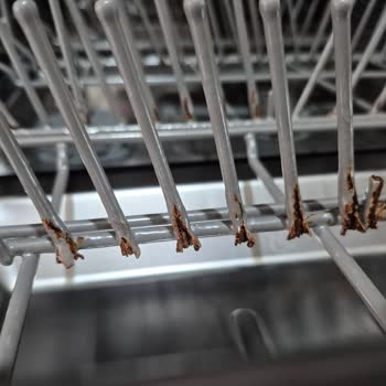 Samsung Bulaşık Makinesi Sepetlerinde Paslanma Sorunu