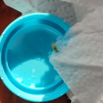 Ayran Ürününün Hijyen Sorunu Ve Mağaza Deneyimi