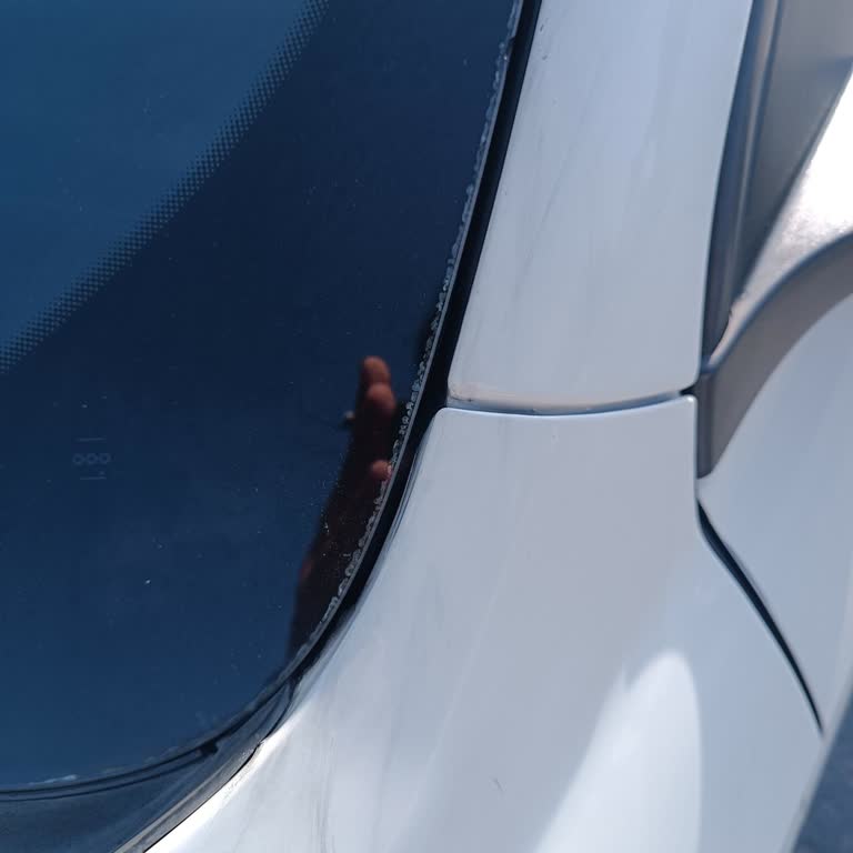 Fiat Egea Ön Cam Fitili Boya Sorunu