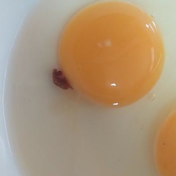 Yumurta Skandalı Ve Marketlerdeki Şüpheli Ürünler