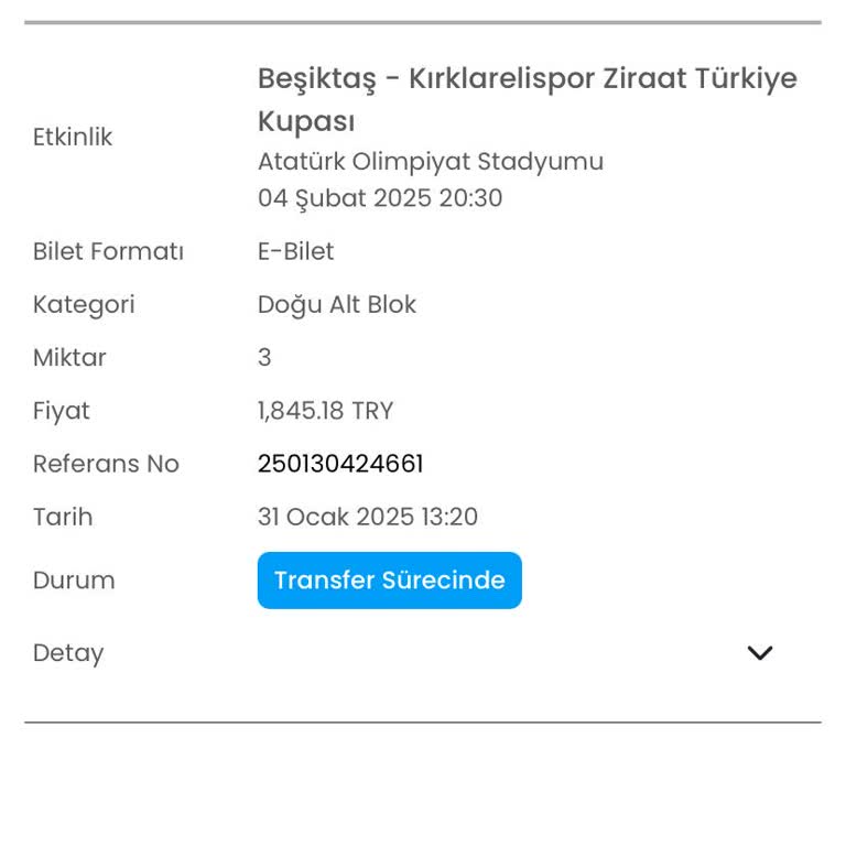 Bilet Alındı, Teslim Edilmedi: Müşteri Hizmetleriyle İletişim Sorunu