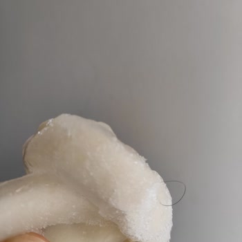 Balık Dünyası'nda Hijyen Sorunu: Buzlu Üründen Kıl Çıkması