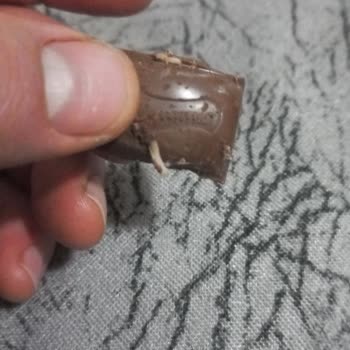 Çocuklarımın Sağlığıyla Oynayan Ürünler