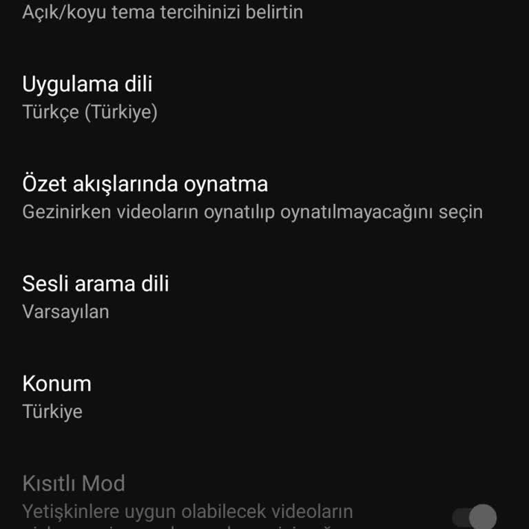 Youtube'da Kısıtlı Mod Sorunu