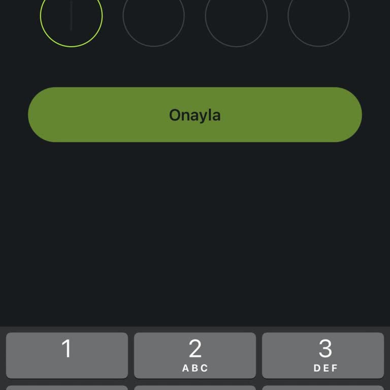 Doğrulama Kodu Sorunu: Uygulamaya Giriş Yapamıyorum