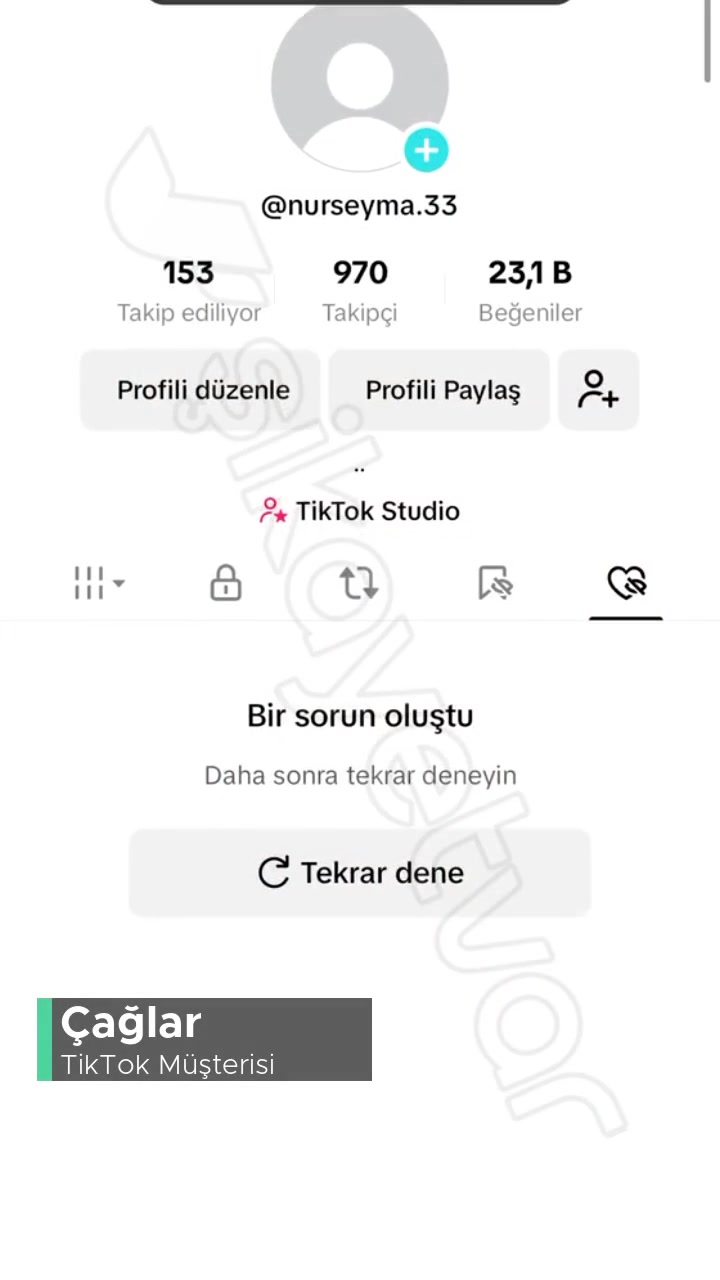 TikTok Hesabım İnternet Bağlantısı Kontrol Ettim Diyor Hesap Bloke Oldu! videonun kapak resmi