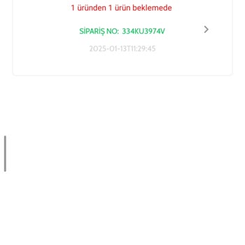 İade Sürecinde Yaşanan Zorluklar