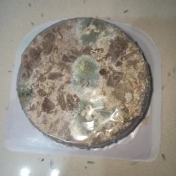 Torku Dana Kavurma: Sağlığımız Tehdit Altında!