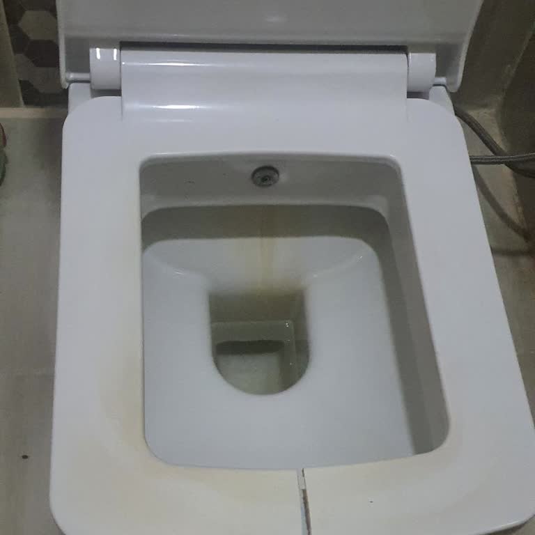 Seramiksan Klozet Kapağı Hayal Kırıklığı Yarattı