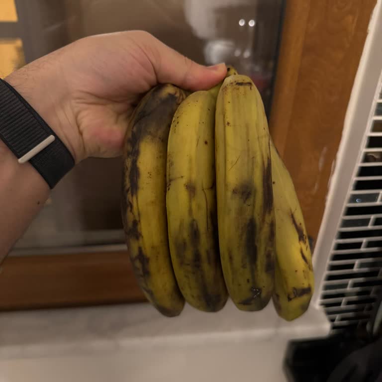 Bozuk Muzlar Ve Çözüm Bulunmayan Destek