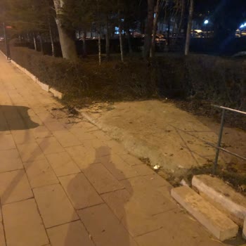 Yol Ortasında Kalan Çöp Konteynerleri