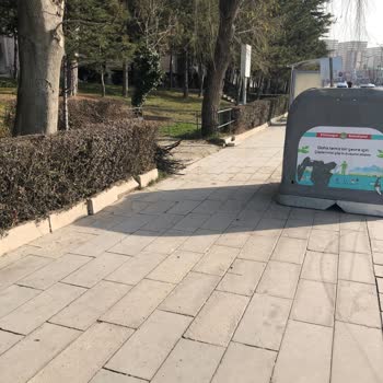 Yol Ortasında Kalan Çöp Konteynerleri