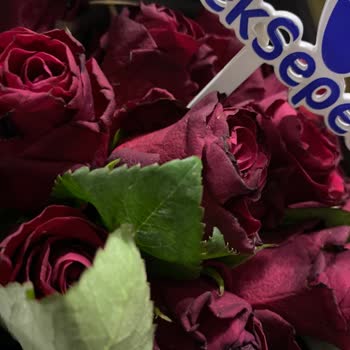 Çiçek Sepeti'nden Gelen Solmuş Güller Ve Ulaşılamayan Müşteri Hizmetleri