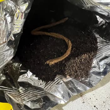 Doğuş Çay'dan Beklenmeyen Sürpriz: Paket İçinde İp Şoku