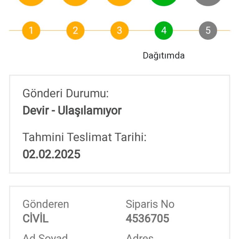 Bir Günde Kargo Firmasının Teslimat Sorunu