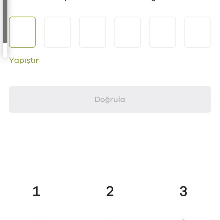 Paribu Hesabına Giriş Sorunu Ve İki Faktörlü Doğrulama Engeli