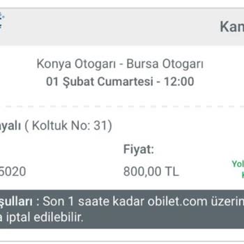 Bagajda Kayıp Şekerleme Şoku
