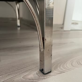 Mobilyalarımın Ayakları Küflendi, Çözüm Bekliyorum