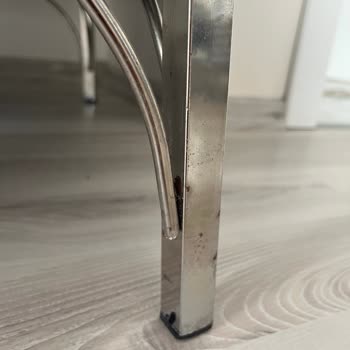 Mobilyalarımın Ayakları Küflendi, Çözüm Bekliyorum