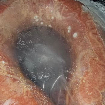 Afyon Ekosucuk'tan Aldığım Sucuklar Küflendi