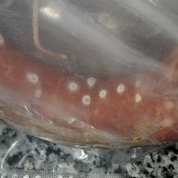 Afyon Ekosucuk'tan Aldığım Sucuklar Küflendi