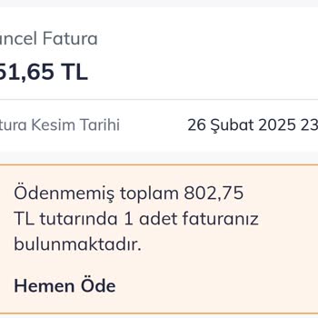 Yanlış Fatura Şoku: 347 TL Yerine 802 TL