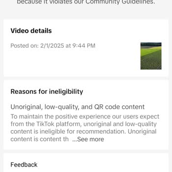 TikTok Video Engellemeleri Can Sıkıyor