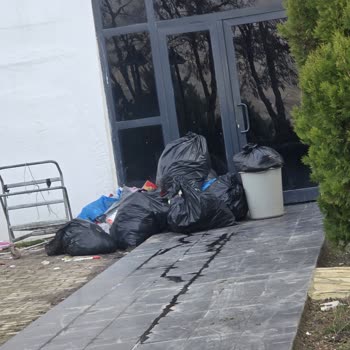 Hijyen Sorunları Ve Böcek Problemi