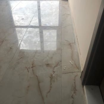 Hijyen Sorunları Ve Böcek Problemi