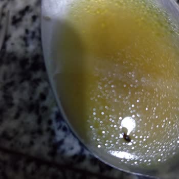 Noodle İçinde Beklenmedik Böcek Sürprizi