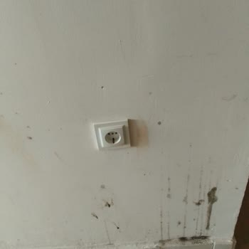 Gençlik Ve Spor Bakanlığı, Gençlik Kampında Yaşanan Olumsuz Deneyimler!