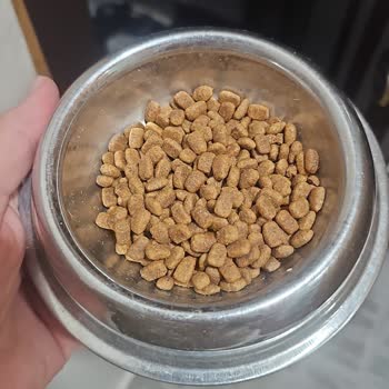 Yanlış Ürün Gönderimi Ve Kötü Koku Şikayeti