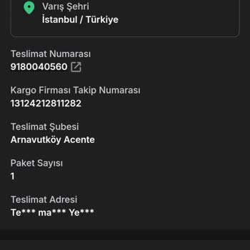 Kedimin Mamasını Beklerken Sürat Kargo Hayal Kırıklığı