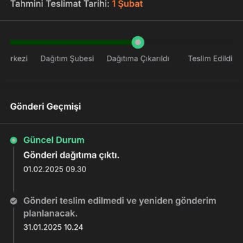 Kedimin Mamasını Beklerken Sürat Kargo Hayal Kırıklığı