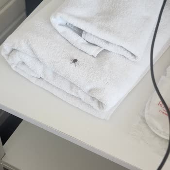 Ramada Resort Thermal Sapanca Konaklama Kabusu: Böcekler Ve İlgisiz Yönetim