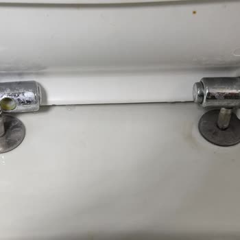 Seramiksan Klozet Kapağı Menteşesi Sorunu