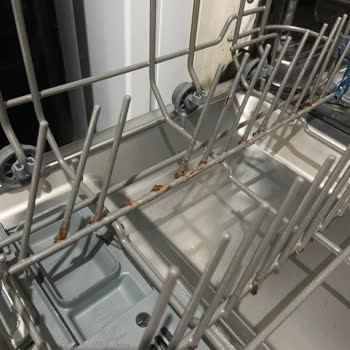 Teka DW 605 S Bulaşık Makinesinde Paslanma Sorunu