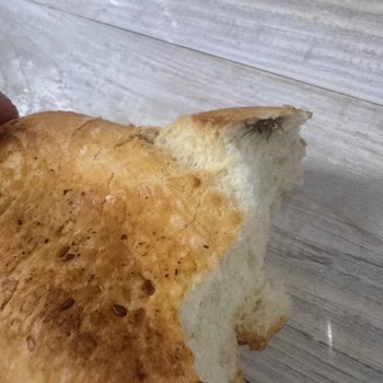 BİM Marketten Aldığım Ekmekte Böcek Şoku