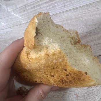 BİM Marketten Aldığım Ekmekte Böcek Şoku