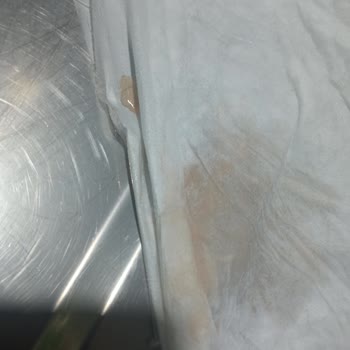 Virbac Mama İle Sağlık Sorunları