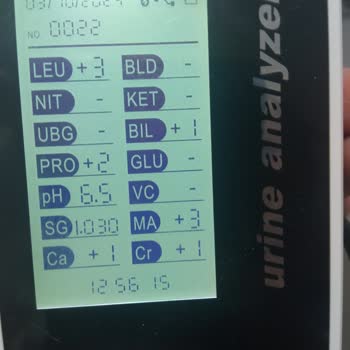 Virbac Mama İle Sağlık Sorunları