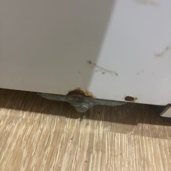 Vestel Buzdolabı Bakımında Belirsizlik Ve Şüphe